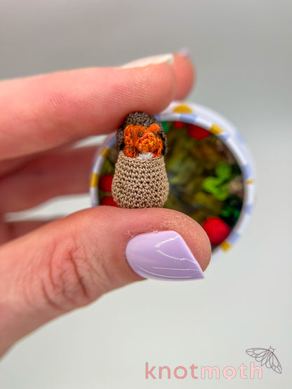 sully squirrel · acorn & mushrooms mini tin