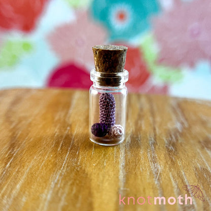 micro penis jar (custom order)