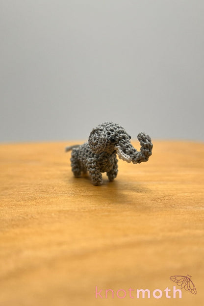 elephant (pre-order)