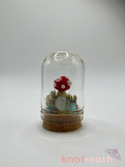 mystery dome jar ⋆.˚