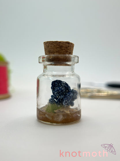 seren squid micro crochet jar