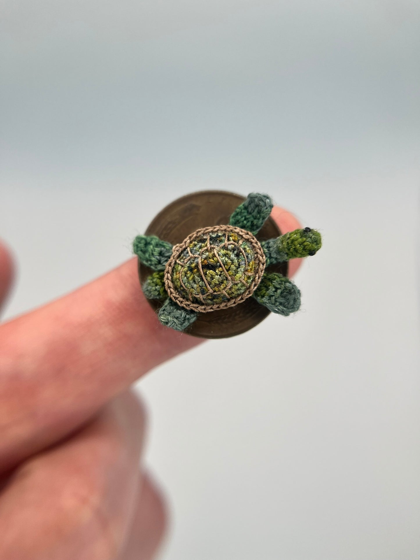 turtle - realistic (custom order)