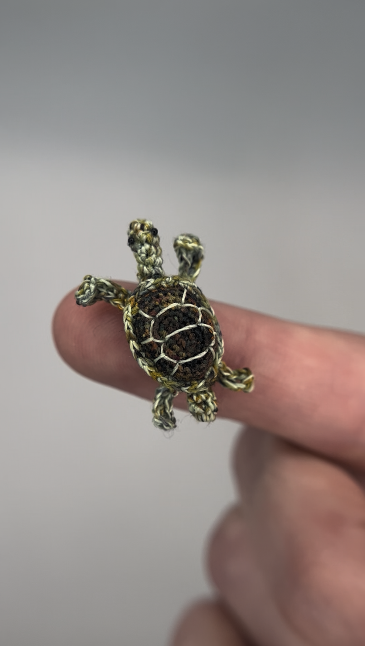 turtle - realistic (custom order)