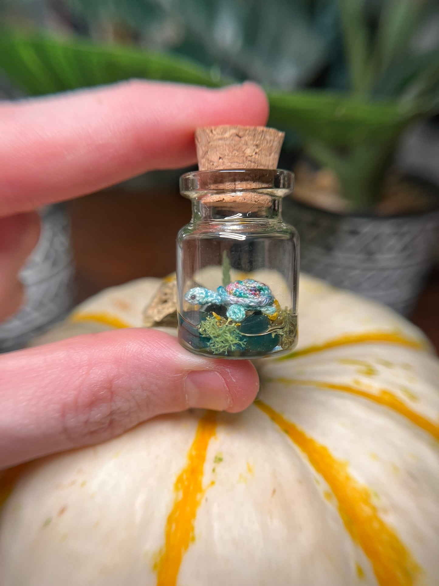 tasha turtle micro crochet jar